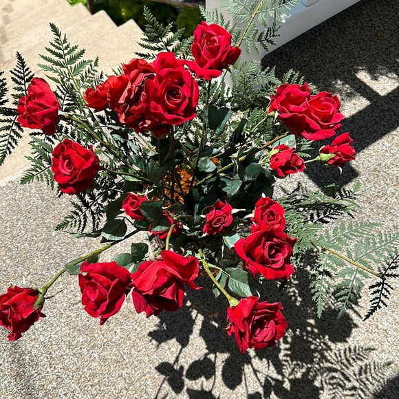 Roses - Picture 2 of 4